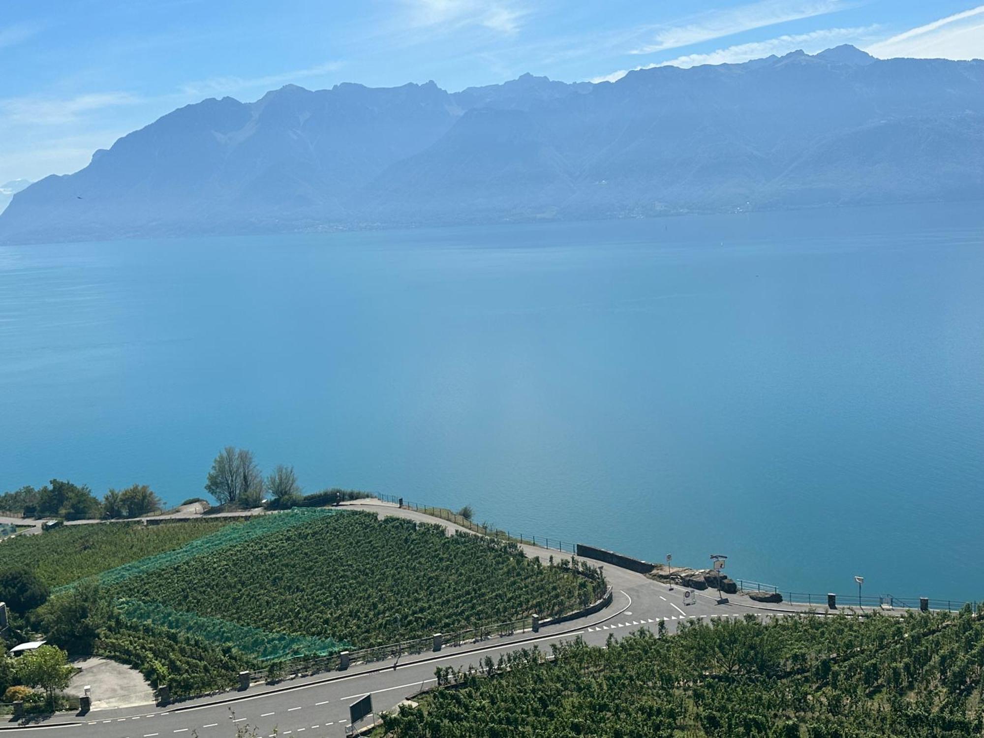 Room With 360° View Overlooking Lake Geneva And Alps Puidoux Exterior photo